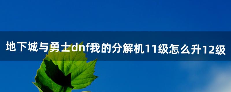 地下城与勇士：dnf我的分解机11级怎么升12级