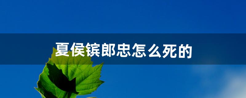 夏侯镔郎忠怎么死的（郎忠结局是什么)