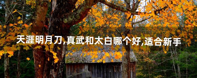 天涯明月刀,真武和太白哪个好,适合新手(天涯明月刀真武适合平民吗)