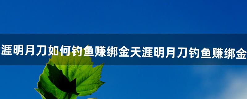 天涯明月刀如何钓鱼赚绑金天涯明月刀钓鱼赚绑金方