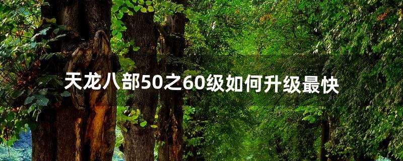 天龙八部50之60级如何升级最快（天龙八部50级到哪升级)