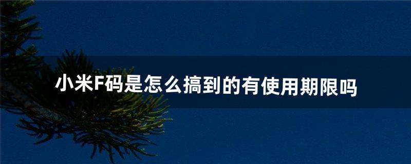 小米F码是怎么搞到的有使用期限吗（小米f码咋弄)