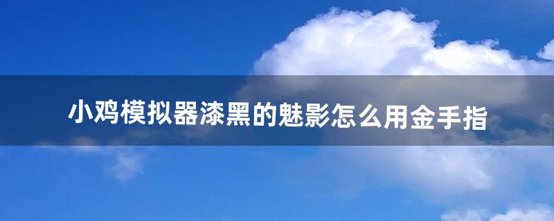 小鸡模拟器漆黑的魅影怎么用金手指（漆黑的魅影模拟器怎么开菜单)