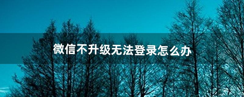 微信无法登陆怎么办