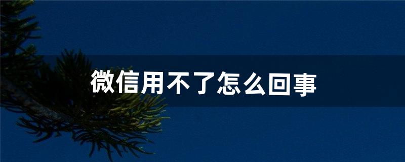 微信用不了怎么回事（微信转账被限制的原因)