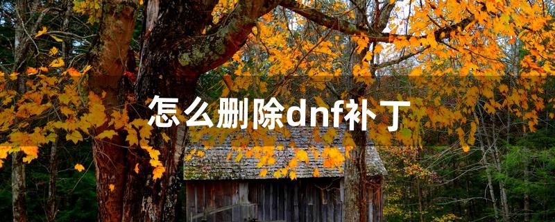 dnf补丁怎么删除