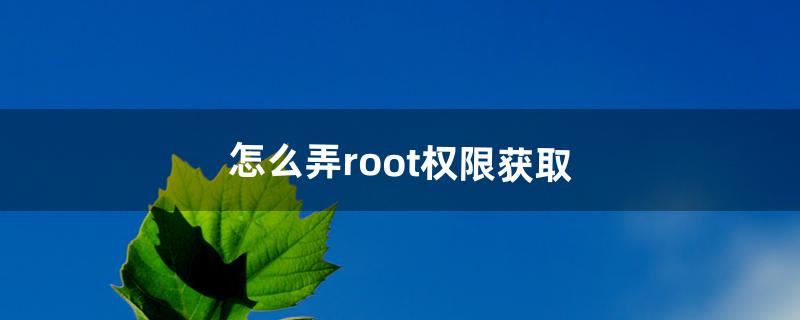 怎么弄root权限获取（一键root工具)