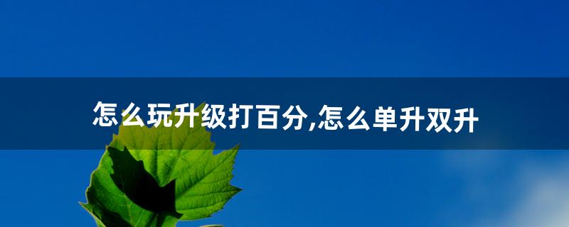 怎么玩升级(打百分),怎么单升/双升(双升信号牌规则详解)
