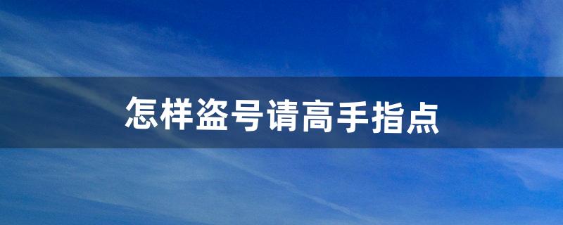 怎样盗号请高手指点