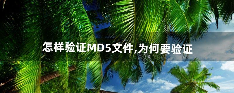 怎样验证MD5文件,为何要验证(md5文件校验失败怎么解决)
