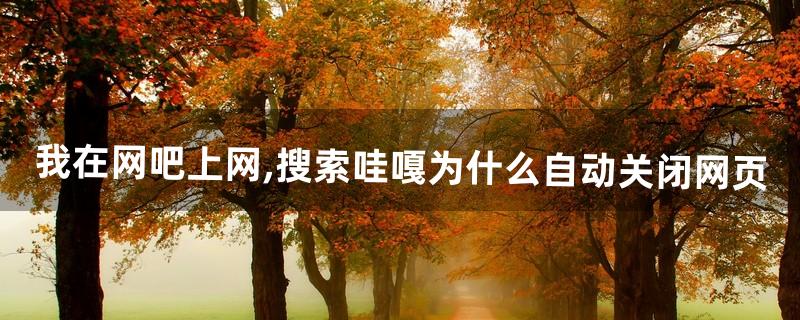 我在网吧上网,搜索“哇嘎”为什么自动关闭网页