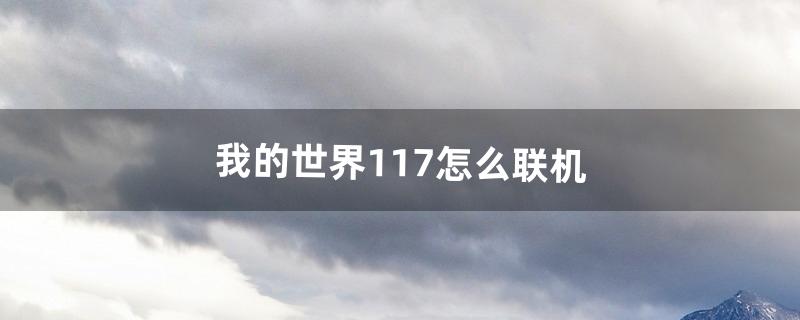 我的世界1.17怎么联机（我的世界1.17怎么加好友联机)