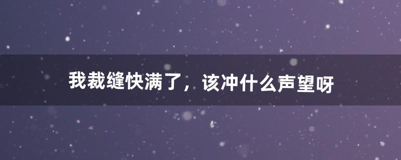 我裁缝快满了，该冲什么声望呀（月布裁缝需要什么声望)