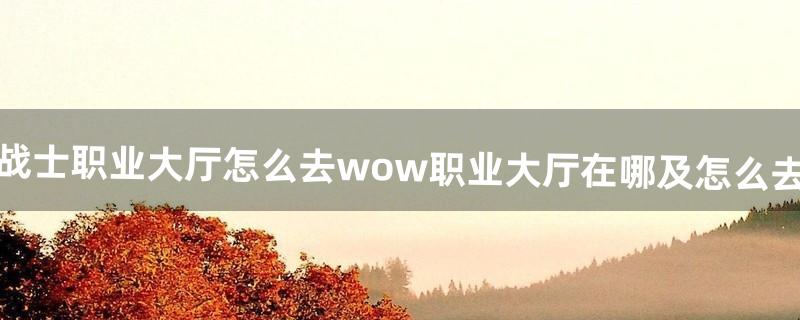 战士职业大厅怎么去wow职业大厅在哪及怎么去