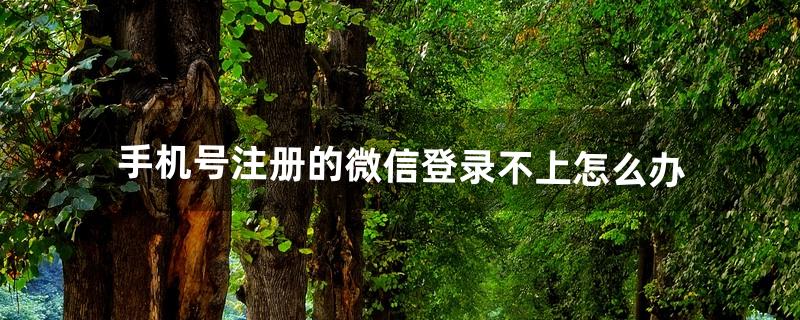 手机号注册的微信登录不上怎么办（微信不小心退出登录不上怎么办)