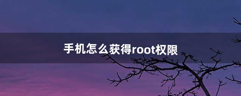 root权限怎么获取