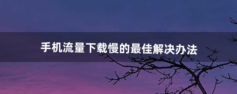 手机流量下载慢的最佳解决办法（流量网速慢简单一招恢复最高速度)