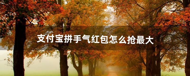 支付宝拼手气红包怎么抢最大（为什么拼手气红包的金额是平分的)
