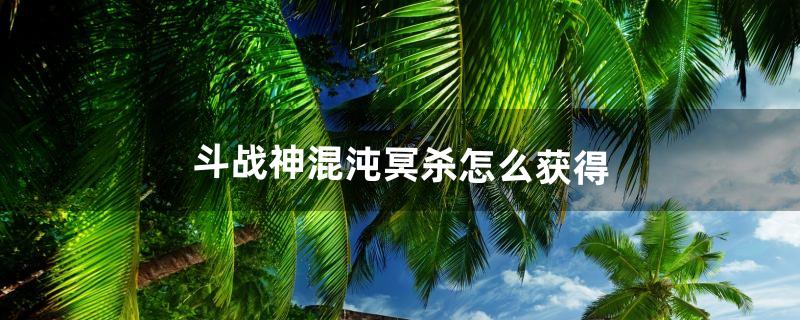 斗战神混沌模式怎么进