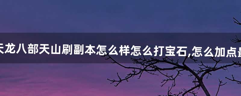 天龙八部天山怎么加点 天龙八部天山怎么加点