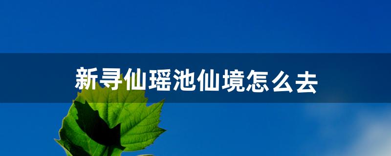 寻仙不周山怎么去