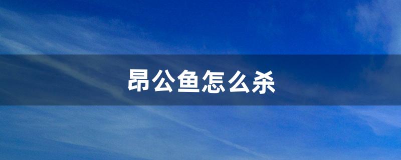 昂公鱼怎么杀（昂针鱼怎么杀图解)