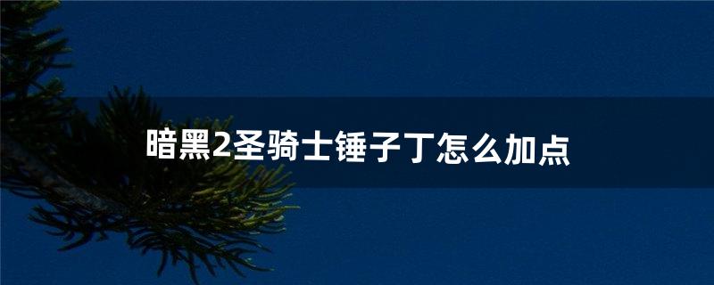 暗黑2圣骑士锤子丁怎么加点（暗黑2锤子技能加点)