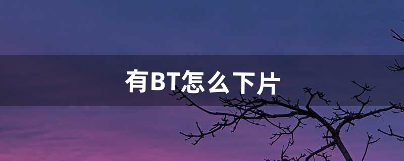 有BT怎么下片（bt文件怎么打开)