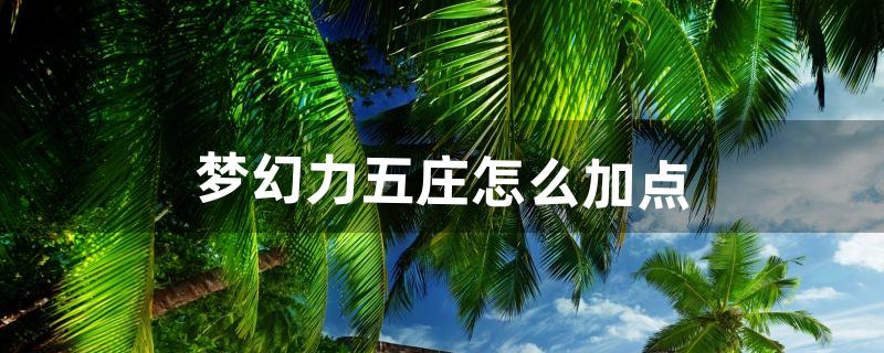 梦幻力五庄怎么加点（平民玩五庄还是凌波城)