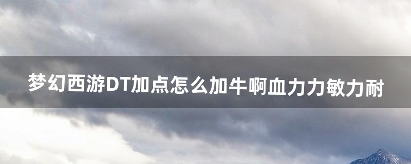 梦幻西游dt怎么加点