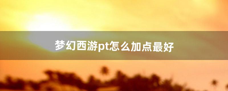 pt怎么加点