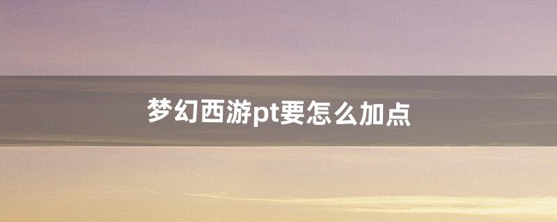 pt怎么加点