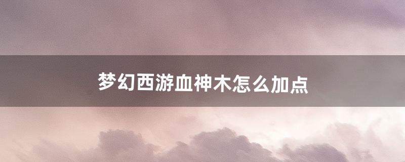 梦幻西游血神木怎么加点（梦幻西游神木怎么加点更厉害)