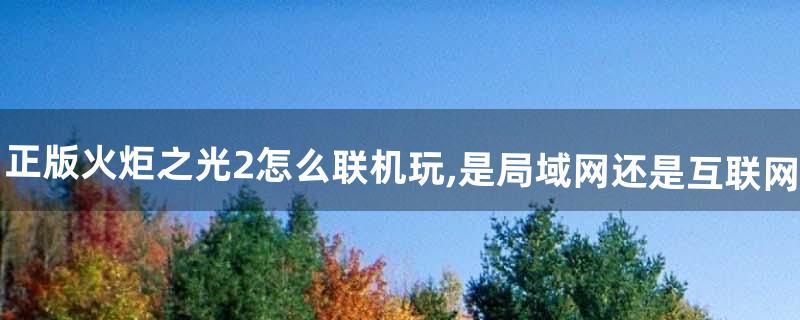 正版火炬之光2怎么联机玩,是局域网还是互联网