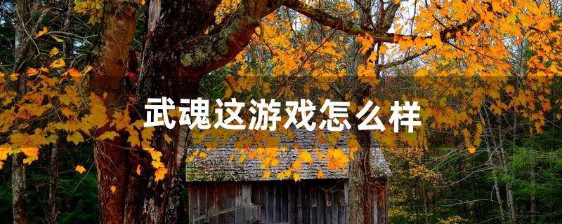 武魂这游戏怎么样（什么游戏是有武魂的)