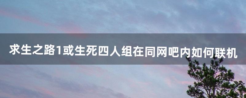 求生之路1或生死四人组在同网吧内如何联机