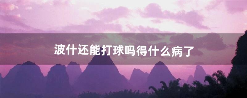 波什还能打球吗得什么病了（波什还会复出吗)