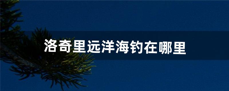 洛奇里远洋海钓在哪里（洛奇飞鱼在哪钓)