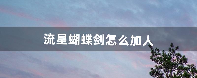 流星蝴蝶剑怎么加人