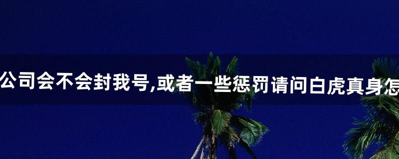 淘米公司会不会封我号,或者一些惩罚请问白虎真身怎么打