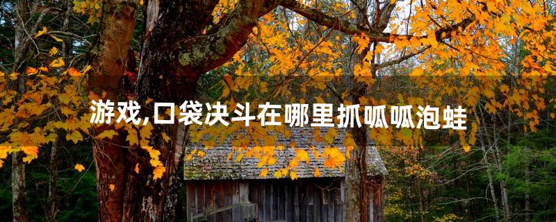 游戏,口袋决斗在哪里抓呱呱泡蛙(口袋决斗最新激活码)