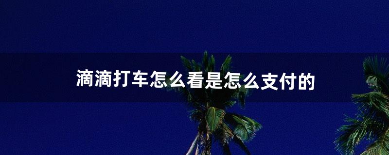 嘀嘀打车怎么付款