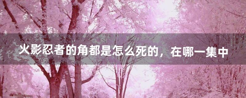 火影忍者的角都是怎么死的，在哪一集中（火影经典战役角都)