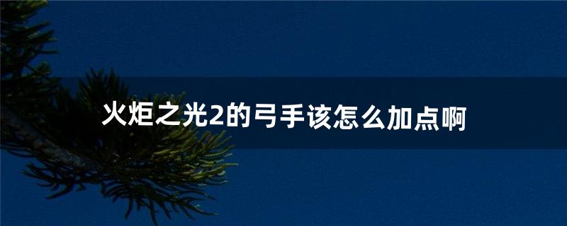 火炬之光2的弓手该怎么加点啊（火炬之光2四大职业加点)