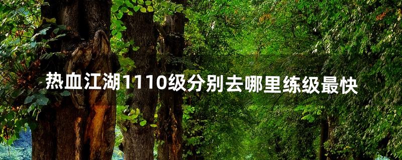 热血江湖1-110级分别去哪里练级最快（热血江湖70级升级路线)