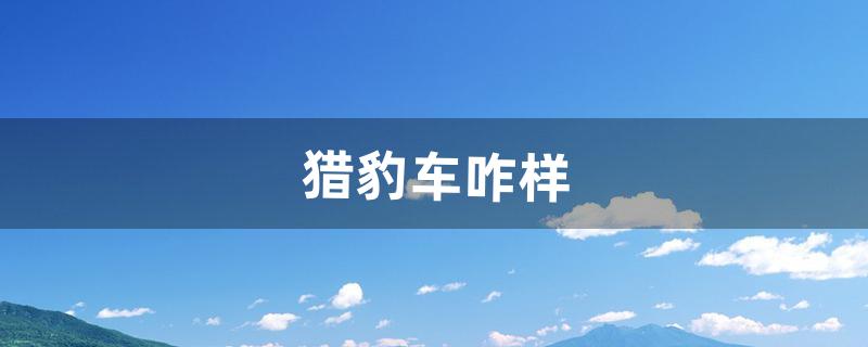 猎豹车咋样（猎豹mattu为什么停产)