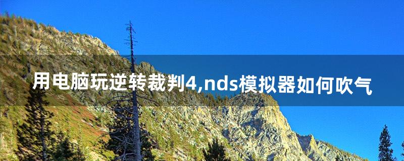 用电脑玩逆转裁判4,nds模拟器如何吹气