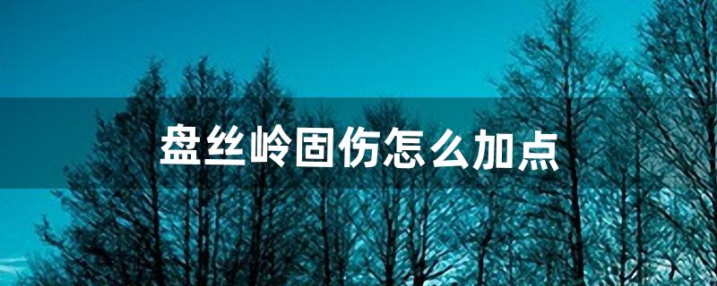 盘丝怎么加点