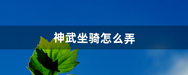 神武坐骑怎么弄