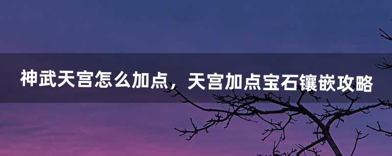 神武天宫怎么加点，天宫加点宝石镶嵌攻略（神武天宫宝石搭配)